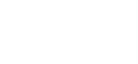 veinlite logo blanco